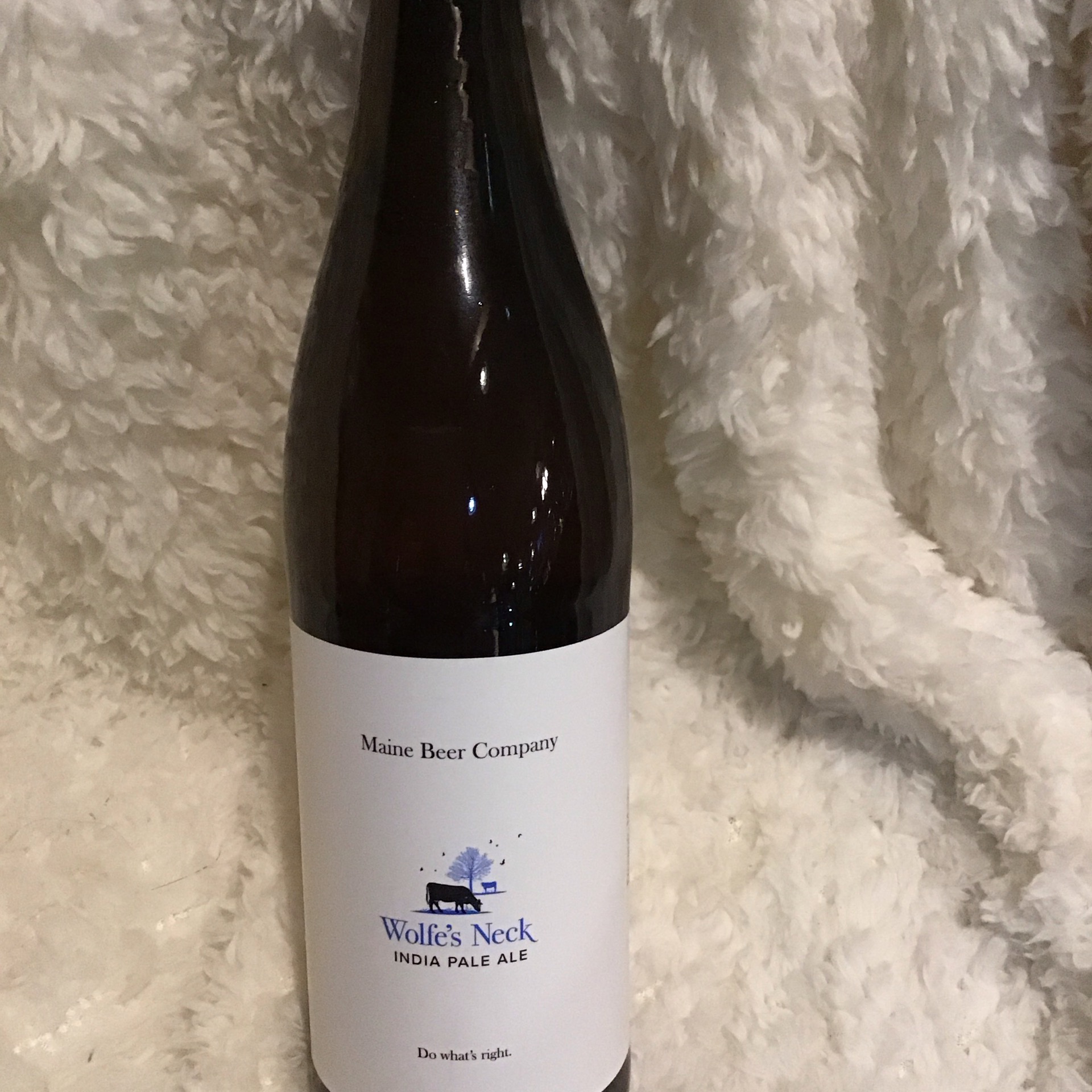 Maine Beer Wolfes Neck Spec