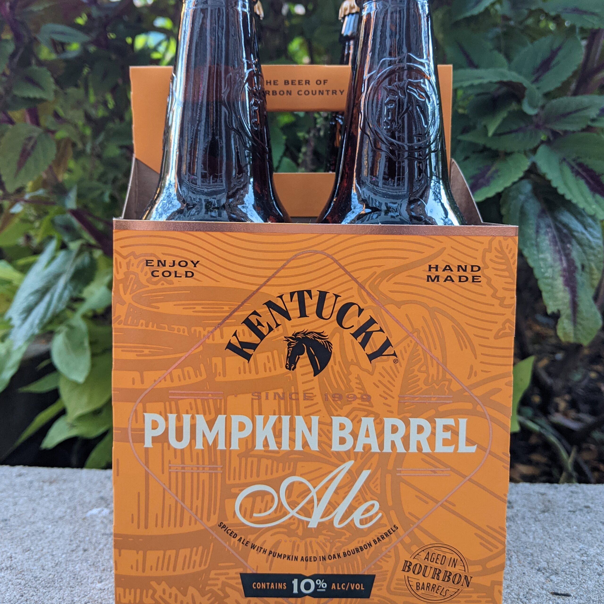 Kentucky Pumpkin Barrel Age Ale Spec
