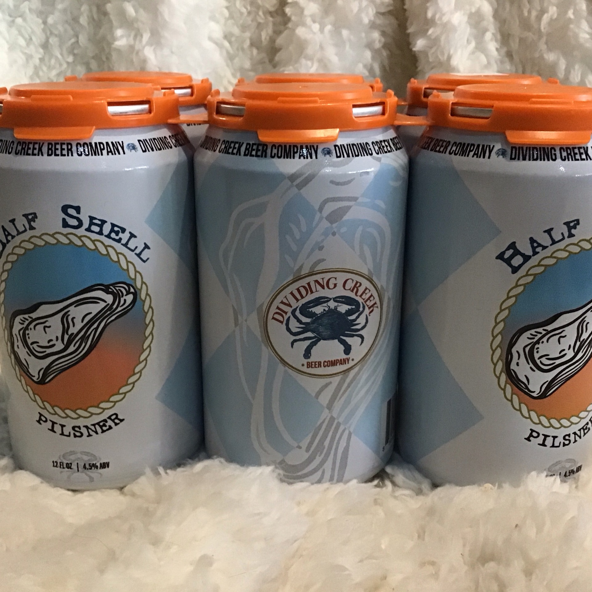 Dividing Creek Half Shell Pilsner